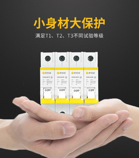 T1級后備保護器