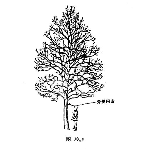 你見過被雷電擊斃的人嗎-旁側閃擊