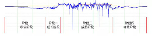 雷電預(yù)警系統(tǒng)為什么要使用大氣電場(chǎng)儀-波形圖