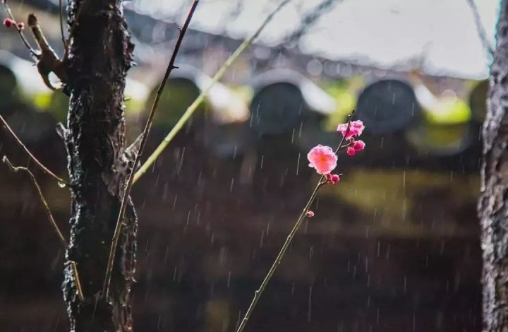 雨水-春雨至,萬物生--易造防雷
