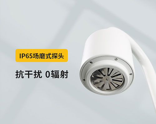 山東某油庫選用WE3.0雷電預(yù)警系統(tǒng)-IP65探頭